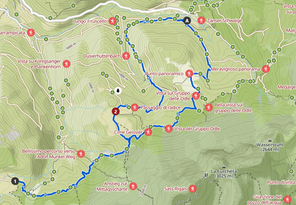 Partenza da Malga Zannes (A) in direzione Malga Brogles (1) per poi scendere con tappa (facoltativa) al Rifugio delle Odle (2) per ritornare a Malga Zannes.